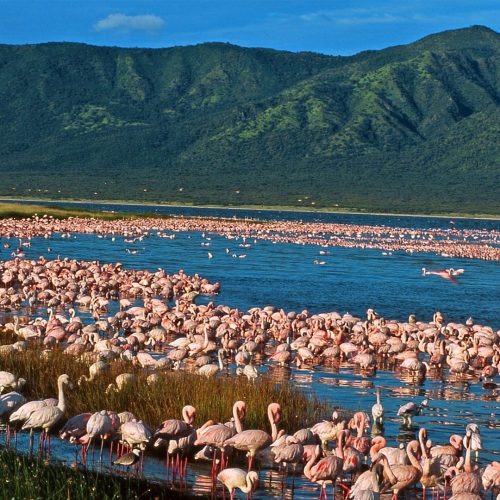 Great Rift Valley Lakes & Adventure Hubs