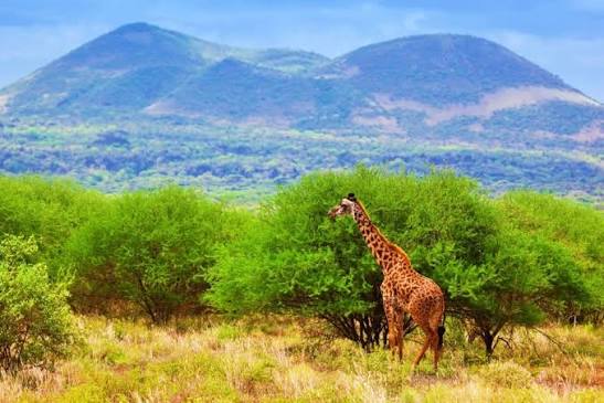 Tsavo East & West Wilderness Trail